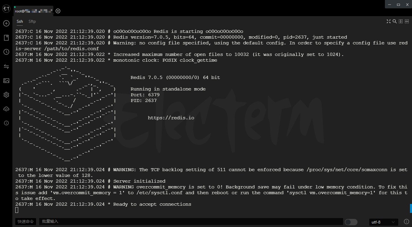 安装完成启动 Redis